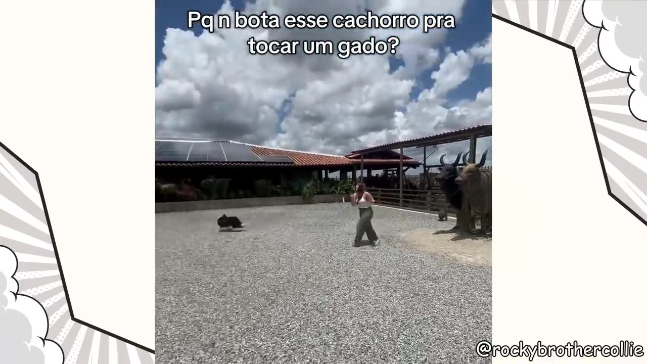 Funny 36