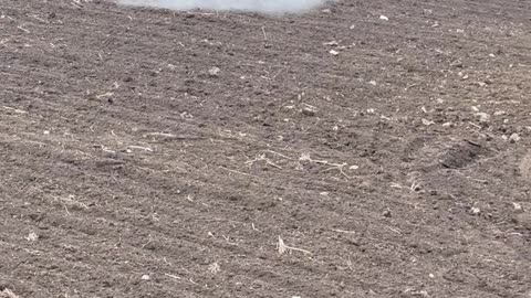 India farming