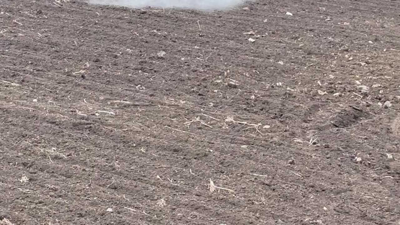 India farming