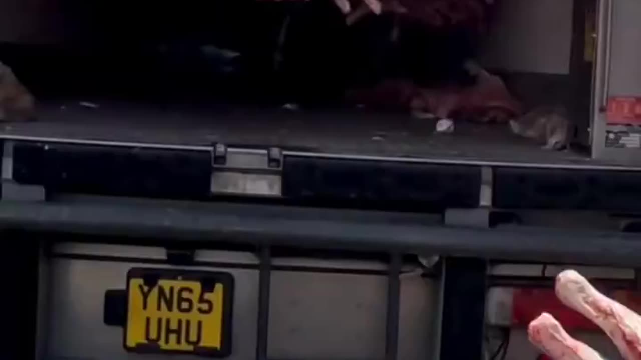 This is how they distribute meat in England.