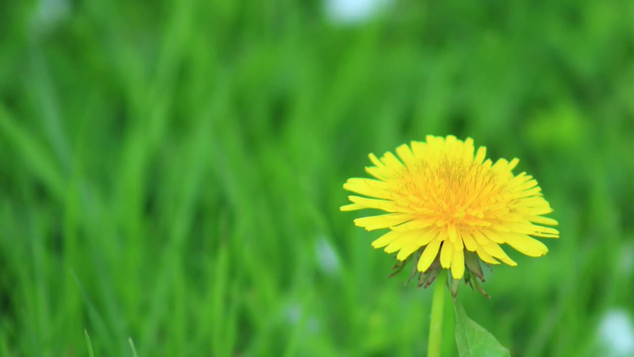 Revelation chapter 18:23