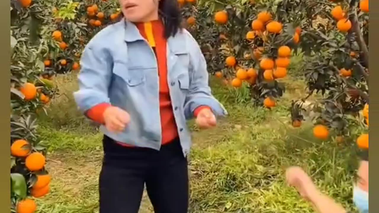 You’ll Be Laughing in 5 Seconds