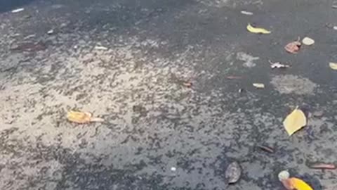 🚌💣 Ukraine Russia War | POV: Busification in Dnipro | RCF