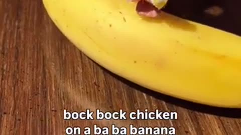 😂🍌 The Funniest Chicken on a Banana Ever! | FunFM