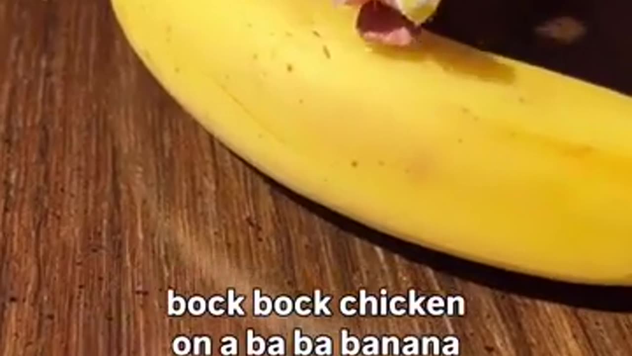 😂🍌 The Funniest Chicken on a Banana Ever! | FunFM