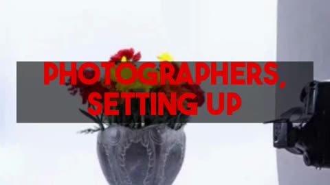 Stop expensive photoshoots. Get amazing AI product images with lionvaplus.com