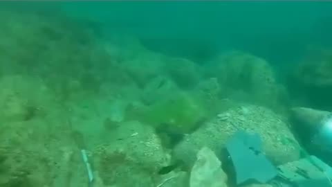 👀 An underwater video has surfaced online showing a diver finding the wreckage