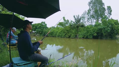 Minnow Spin Fishing in Stream Confluences