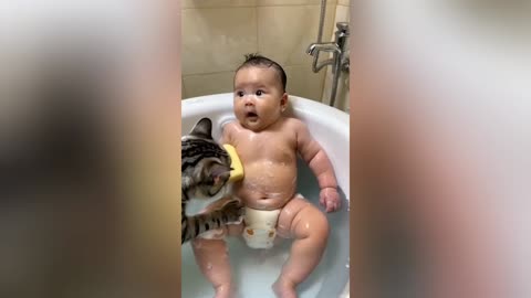 Funny Cute cat story