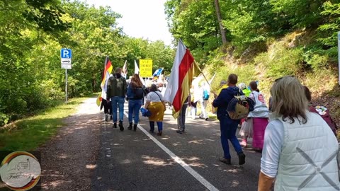 Frei-Einig, Aufzug zum Hambacher Schloss für die Bewahrung der Demokratie