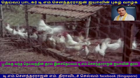 No singer can come near TMS Legend Voice vol 11