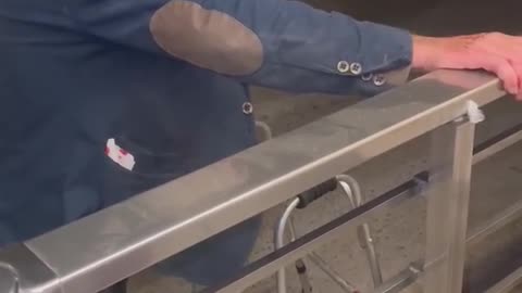 Χτυπημένος από λάθρο στην Κρήτη