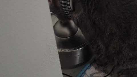 😂💧 She's Drinking Out of Her Feeding Tube... But Not How You Think | FunFM