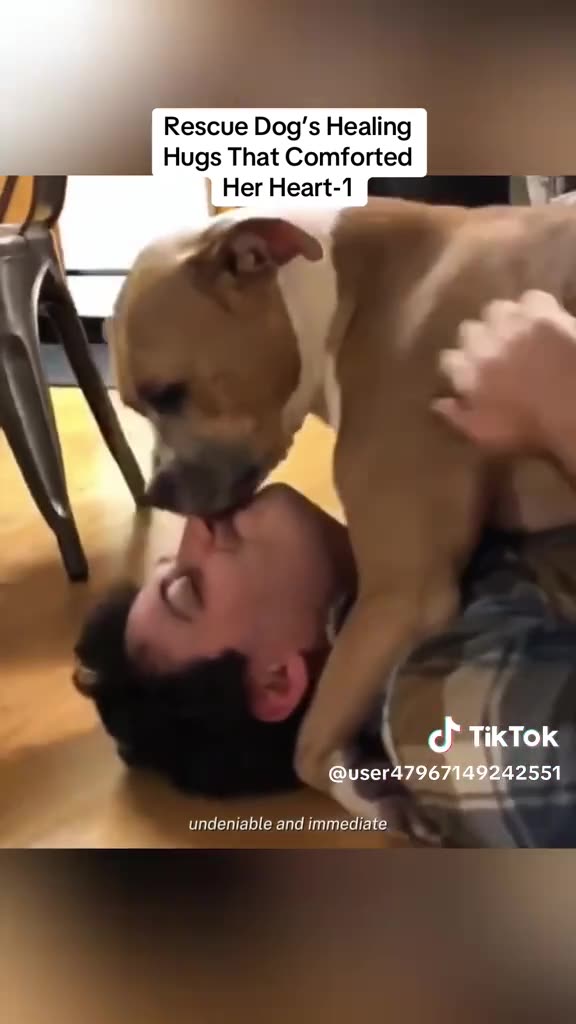 HUGGABLE TUESDAY 12/9/25 PT1