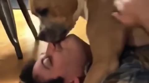 HUGGABLE TUESDAY 12/9/25 PT1