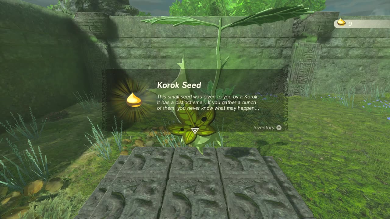 korok seeds