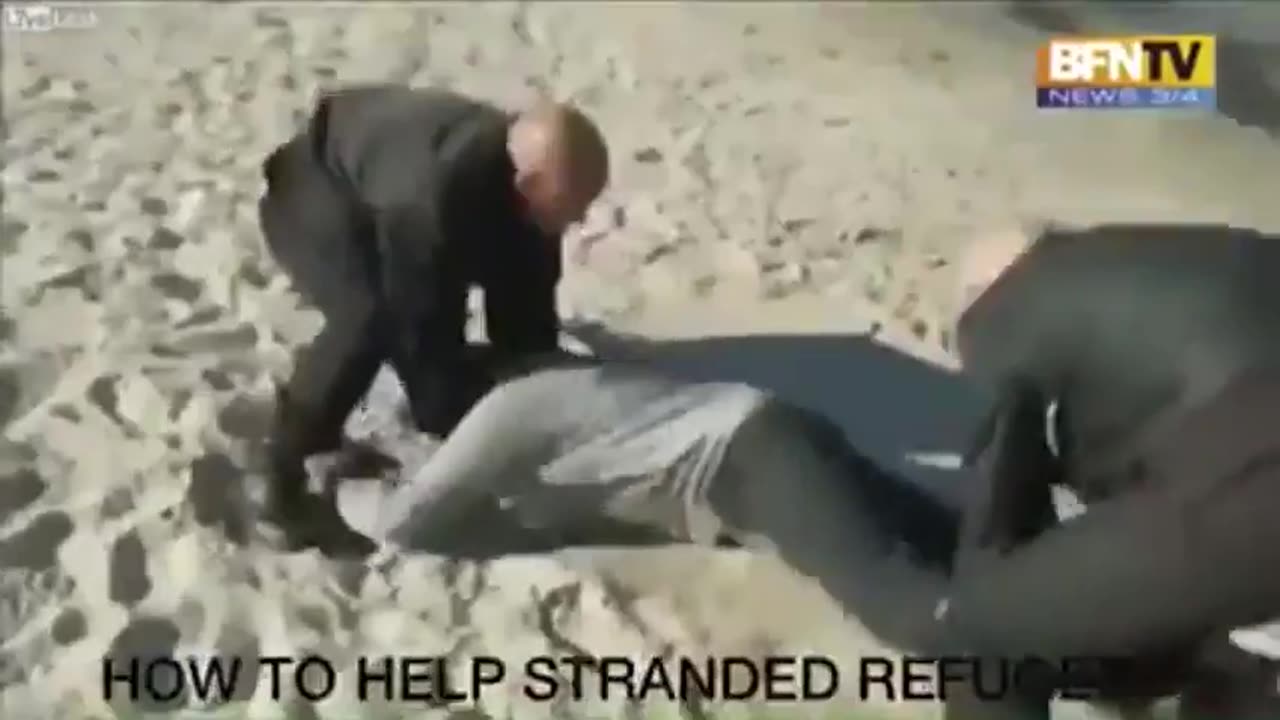 How to help stranded refugees Skinhead style