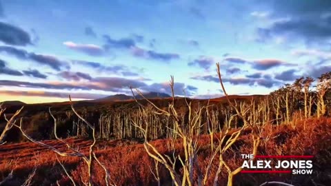 ALEX JONES - INFOWARS LIVE - ALEXJONES.NETWORK - THERE'S A WAR ON FOR YOUR MIND! ➡ THE ALEX JONES SHOW • WAR ROOM WITH OWEN SHROYER • THE AMERICAN JOURNAL WITH HARRISON SMITH • SUNDAY NIGHT LIVE WITH CHASE GEISER