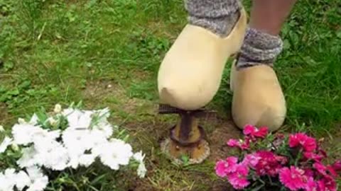 Windmill & Flowers Crushed Under Wooden Clogs