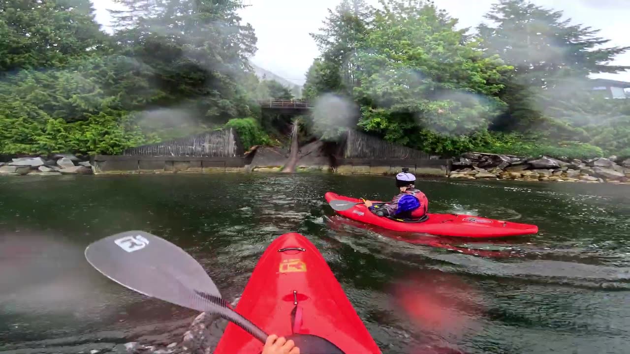Out of Control in a Drainage Ditch