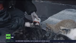 RT DE-Live TV