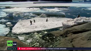 RT DE-Live TV