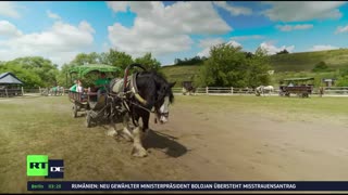RT DE-Live TV