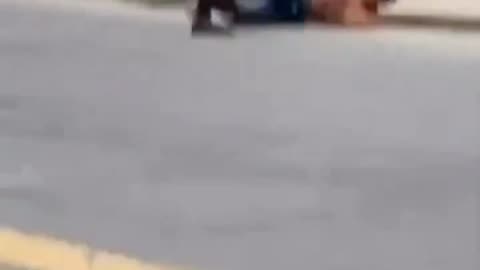 Italian law enforcement explain to usual suspect with a knife that Italy is no joke.