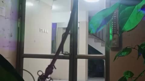 Two suspects, aged 17 and 18, from Jerusalem were arrested on suspicion of throwing