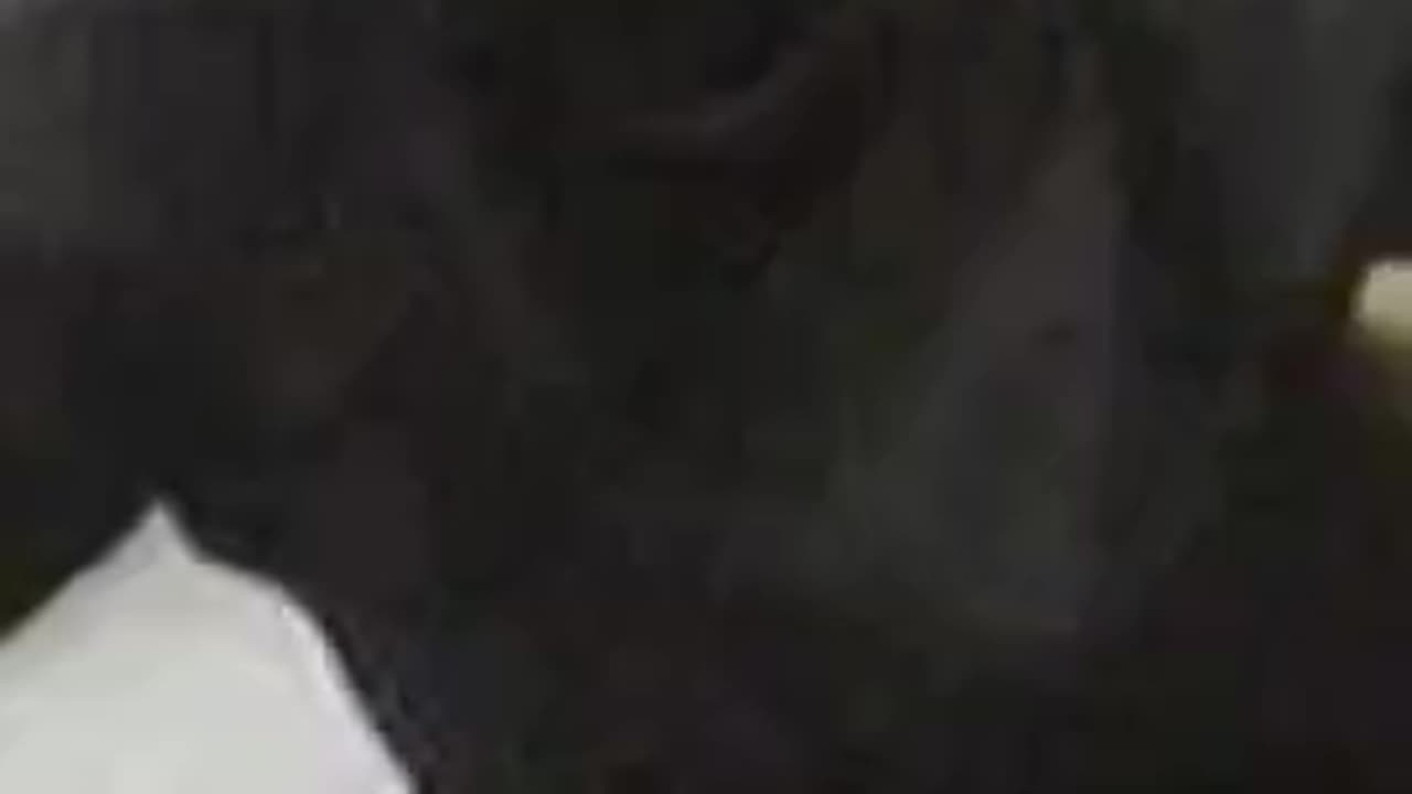 Now you can be ninja. #1980s #ninja #shorts #canada #fyp #yyj #uniform #century #ad