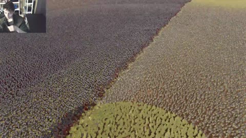 Outtake Of #3,154 Of One Million SpongeBob SquarePants VS One Million Gandalves In A Battle