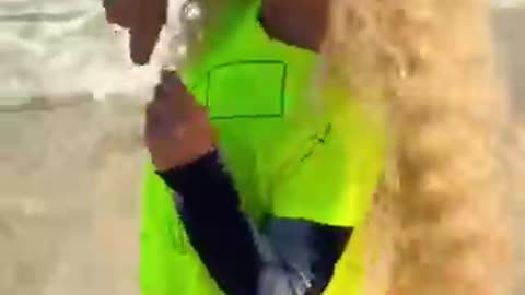 And I'm walking, walking on the moon) VIRAL VIDEO #viralvideo #dance #trending #seniiamikheeva #...