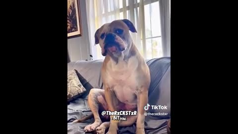 Need a laugh here and there ;)