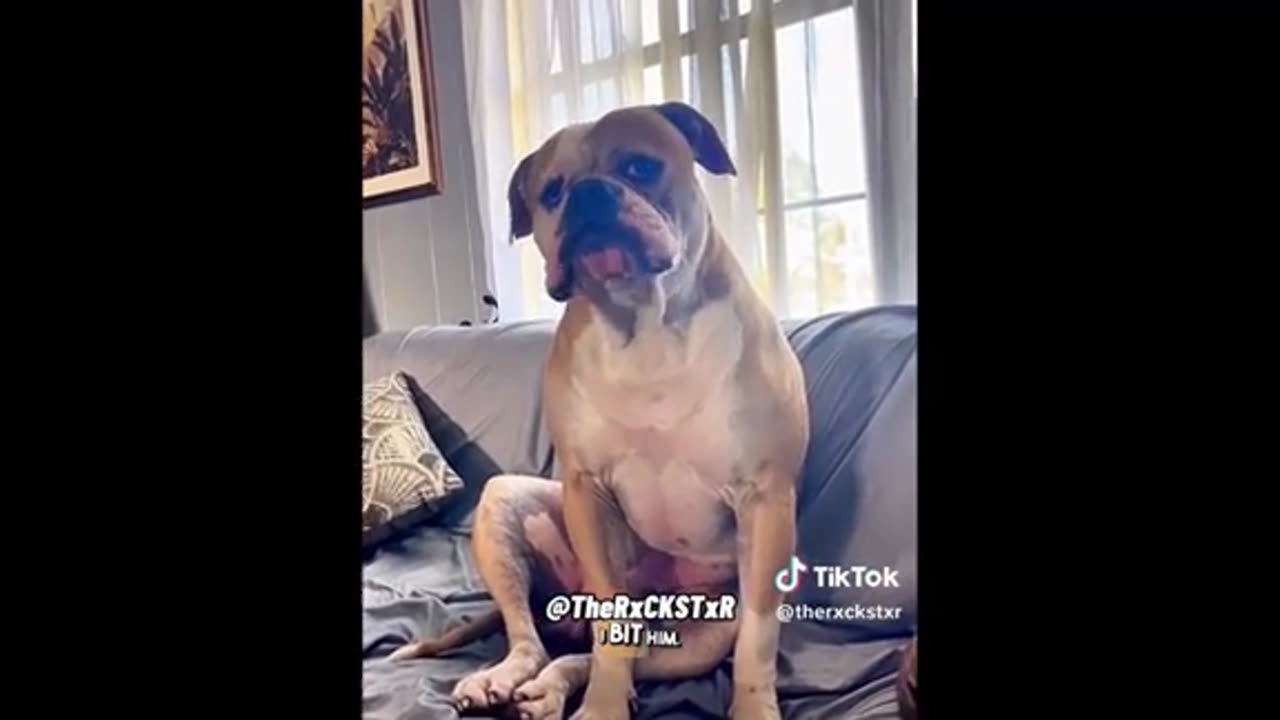 Need a laugh here and there ;)