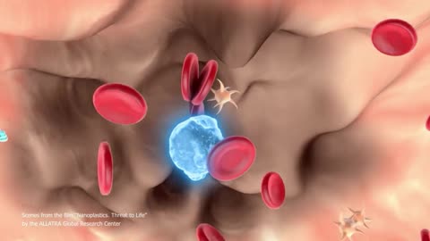 An Inconvenient Fact About Nanoplastic