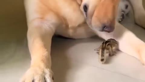 Best friends