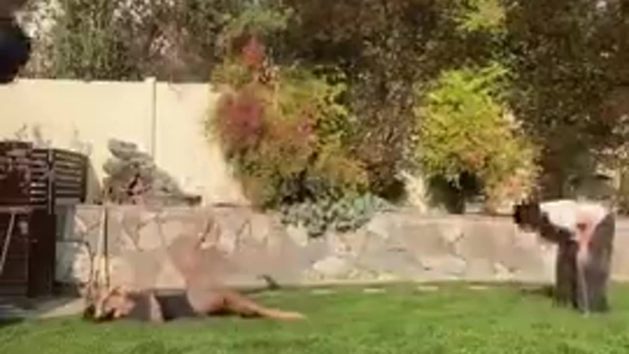Ball fun time ideas