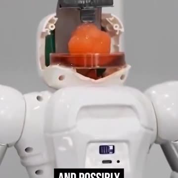 Shadow of Ezra - Chinese scientists grew a miniature human brain from stem cells FOR ROBOT