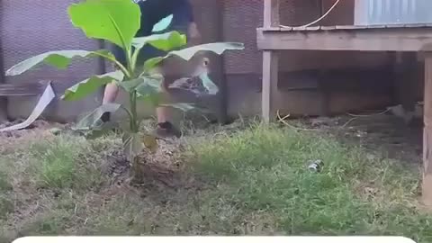 😂🔥 You Won't Believe This Bold Move! | FunFM
			