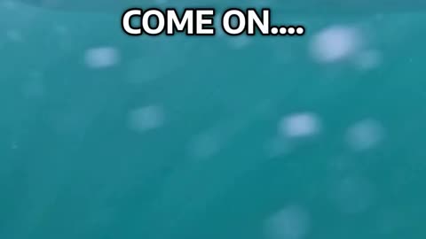 because it could be ANYTHING!