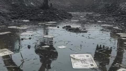 BJP POWER , BANGAL SRP