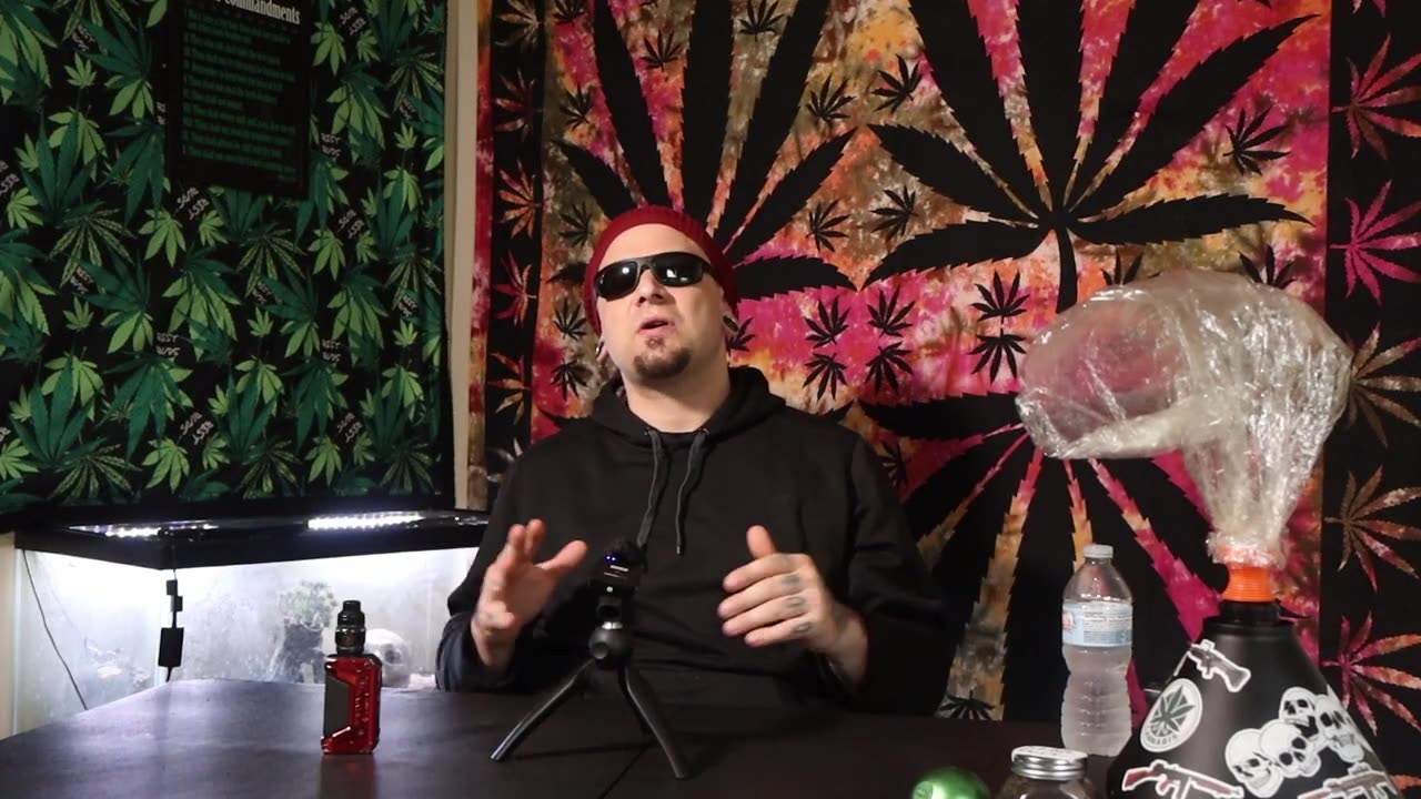 Star Dust cultivar Review