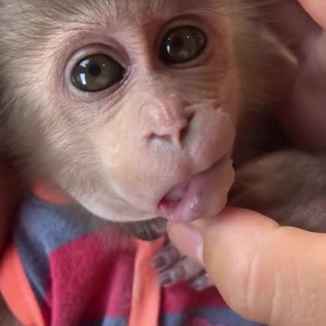 The many cute faces I can make