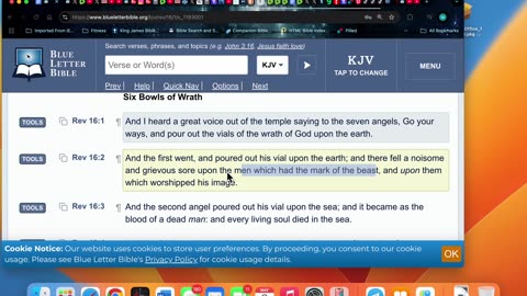 Sat 5/3/25 Heb 10:26-39 Now the just shall live by faith: but if any man draw back…
