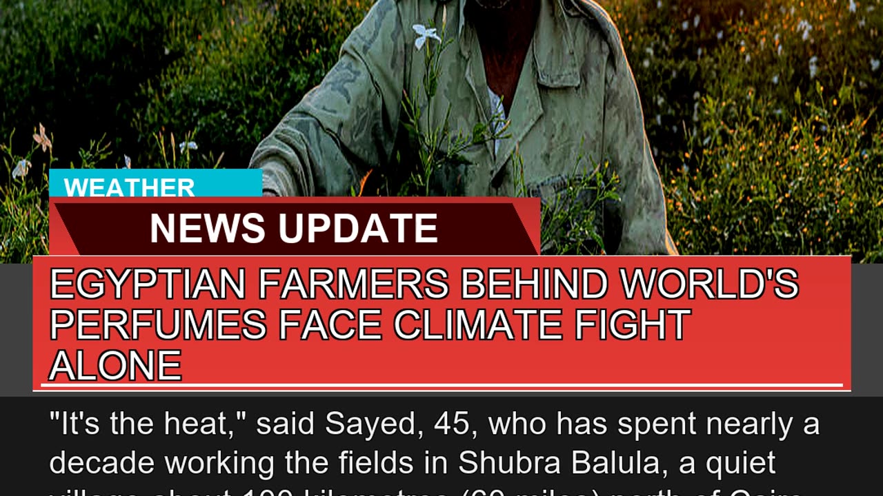 Egyptian Farmers Behind Worlds Perfumes Face Clim