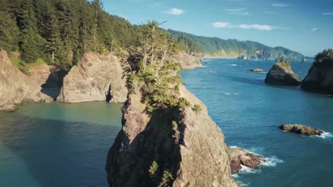 251 - Steven Kelley / This "assassination" was major ass ass