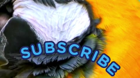 This Enemy Napoleon Couldn't Conquer