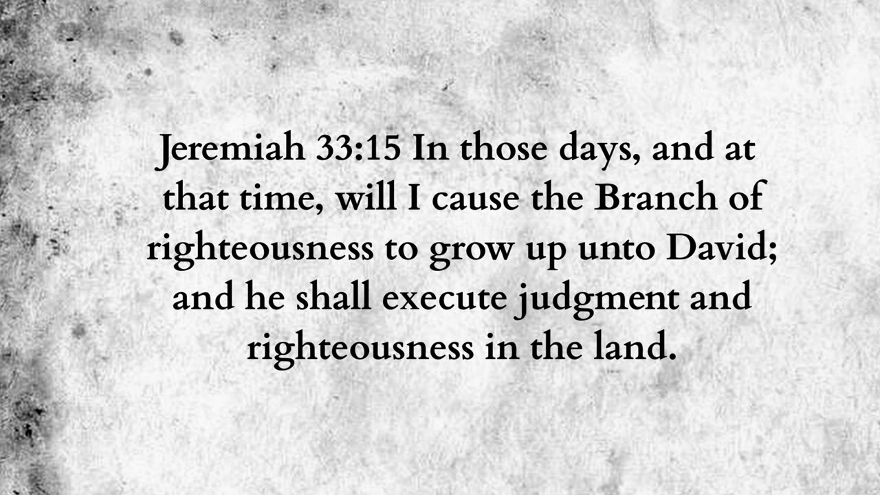 Martus Ministry -330- The Branch