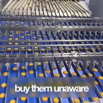 Il "cibo spazzatura" si chiama cosi' proprio perchè viene fatto dalla spazzatura!