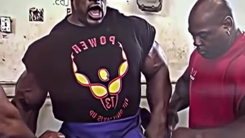 800lbs